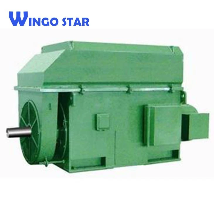 Elektromotor visokog napona IP55